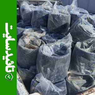کوپلر 200 انهار